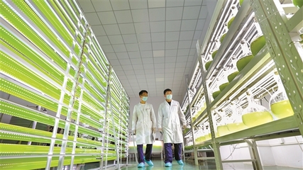 二氧化碳變身記——走進介休安泰工業園探尋變“碳”為“藻”的奧秘