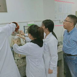 我校食品與生物工程系生物工程技術(shù)開發(fā)綜合生產(chǎn)實訓(xùn)圓滿完成