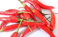 植物提取物技術(shù)新里程 長沙華康生物技術(shù)開發(fā)的蘋果提取物與生物工程技術(shù)創(chuàng)新