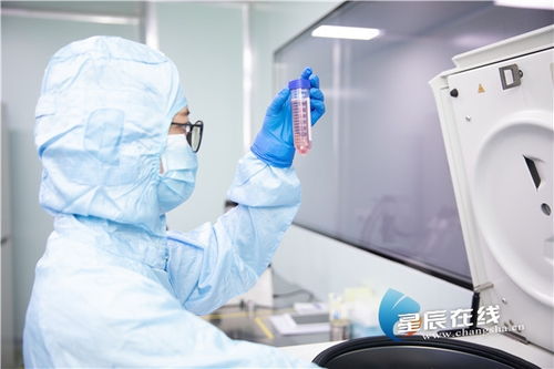 尖端技術(shù)云集，生物醫(yī)藥在長沙經(jīng)開區(qū)如何乘風(fēng)破浪——聚焦生物工程技術(shù)開發(fā)